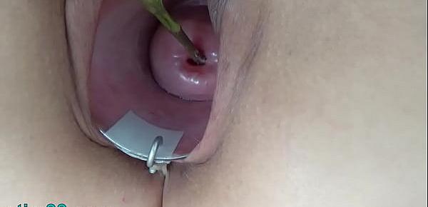  Extreme female inserting nettles into cervix and rod flowers